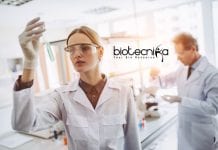 Novartis Global Drug Development Life Science Job Recruitment Novartis Vacancies