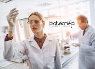 Novartis Global Drug Development Life Science Job Recruitment Novartis Vacancies