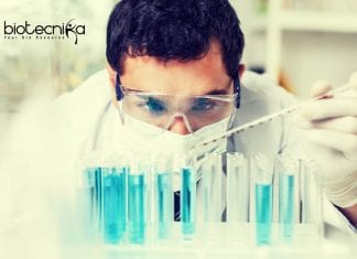 Novo Nordisk Life Science Clinical Data Manager Job Recruitment Novo Nordisk Life Science