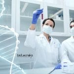 Novozymes Biochemistry Scientist Formulation Centre Recruitment Novozymes Biochemistry Scientist