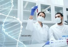 Novozymes Biochemistry Scientist