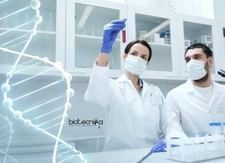 Novozymes Biochemistry Scientist