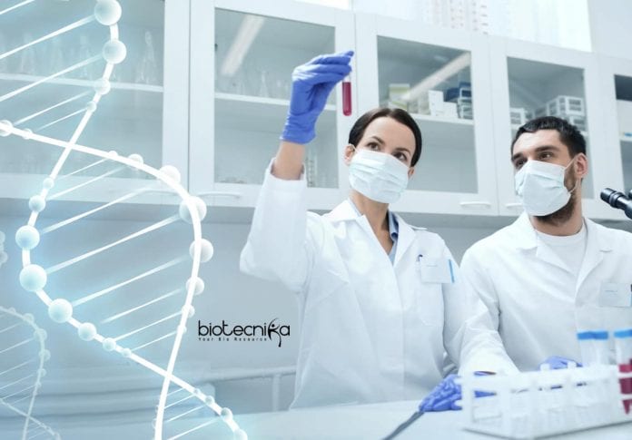 Novozymes Biochemistry Scientist