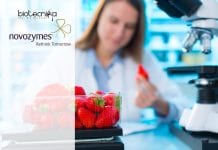 Novozymes MSc / PhD Recruitment – Apply Online Novozymes MSc