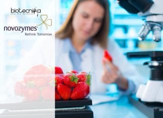 Novozymes MSc