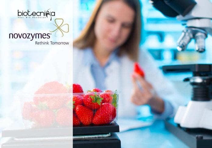 Novozymes MSc