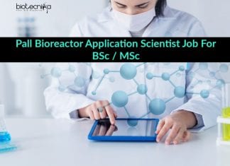 Pall Bioreactor Application Scientist