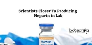 Producing Heparin in the lab