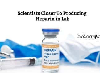 UC San Diego Researchers Move A Step Closer In Producing Heparin in Lab Producing Heparin in the lab