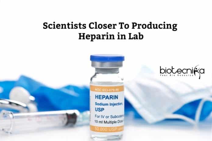 Producing Heparin in the lab