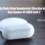 Remdesivir Effective Against Coronavirus
