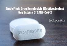 Remdesivir Effective Against Key Enzyme Of SARS-CoV-2 Causing COVID-19: Study Finds Remdesivir Effective Against Coronavirus
