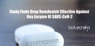 Remdesivir Effective Against Coronavirus