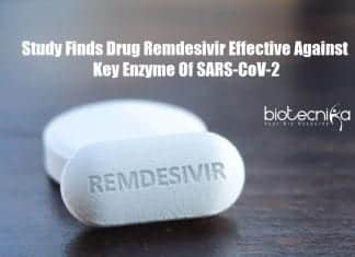 Remdesivir Effective Against Key Enzyme Of SARS-CoV-2 Causing COVID-19: Study Finds Remdesivir Effective Against Coronavirus