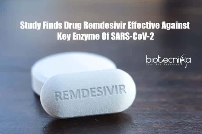 Remdesivir Effective Against Coronavirus