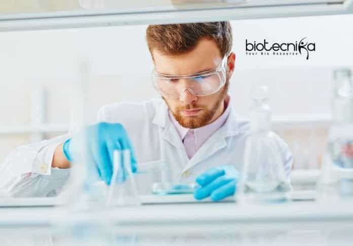 Roche Job