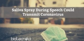 Saliva Droplets Could Transmit Coronavirus
