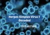 Scientists Decode Herpes Simplex Virus 1 Genome Scientists Decode Herpes Virus