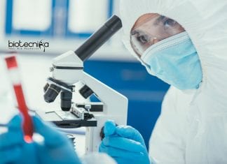 Syngene Biologics Associate Scientist