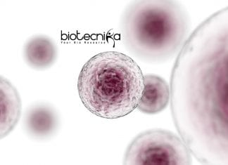 Syngene Immunology / Cell Biology & Life Science Associate Scientist Job Syngene Cell Biology Jobs