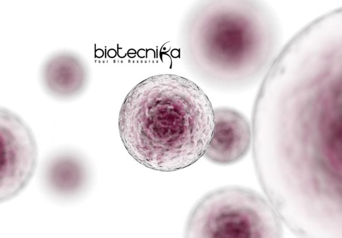 Syngene Cell Biology Jobs