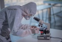 Syngene Discovery Biology Associate Scientist Job Opening Syngene Discovery Biology Associate