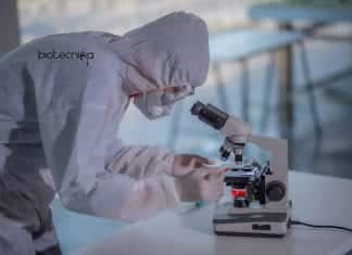 Syngene Discovery Biology Associate