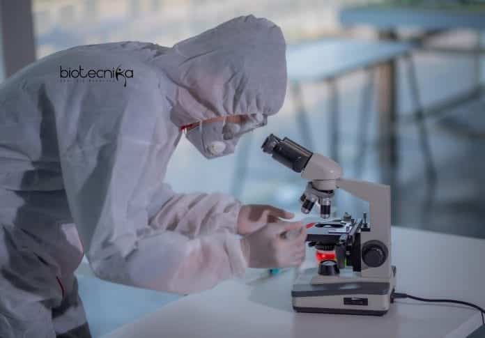 Syngene Discovery Biology Associate