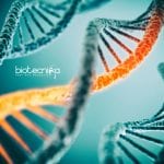 Syngene Molecular Biologist Job Opening – Apply Online Syngene Molecular Biologist Job