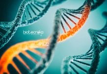 Syngene Molecular Biologist Job Opening – Apply Online Syngene Molecular Biologist Job