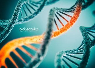 Syngene Molecular Biologist Job Opening – Apply Online Syngene Molecular Biologist Job