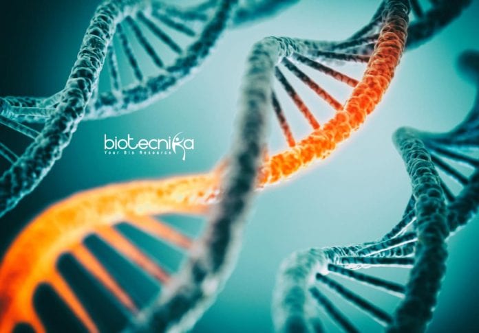 Syngene Molecular Biologist Job