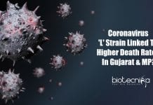 Coronavirus ‘L’ Strain Linked To Higher Death Rates In Gujarat & MP? Coronavirus strain causing higher deaths