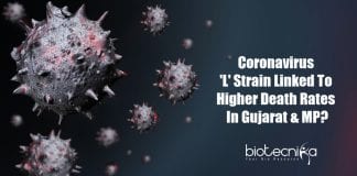 Coronavirus strain causing higher deaths