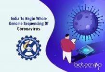 India To Begin Whole-Genome Sequencing Of Coronavirus SARS-CoV-2 coronavirus genome sequencing in India
