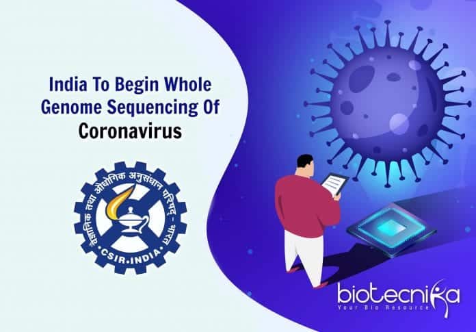 coronavirus genome sequencing in India