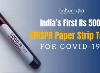 India’s First Rs 500 CRISPR Paper Strip Test For COVID-19 By CSIR Lab