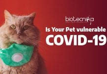 Can COVID-19 Infect Animals?