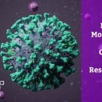 potential molecule to treat COVID-19