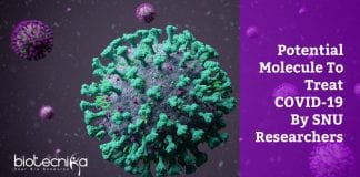 potential molecule to treat COVID-19