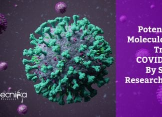 Potential Molecule To Treat COVID-19 Discovered By University At Noida potential molecule to treat COVID-19