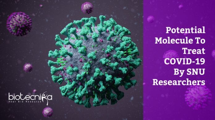 potential molecule to treat COVID-19