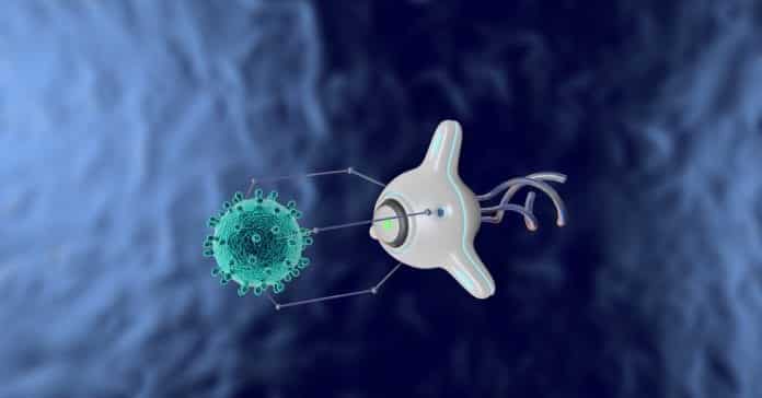 Neural function in biobot