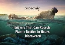 This Mutant Bacterial Enzyme Can Degrade Plastics In Hours ! Enzyme to recycle plastic bottles