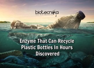 This Mutant Bacterial Enzyme Can Degrade Plastics In Hours ! Enzyme to recycle plastic bottles
