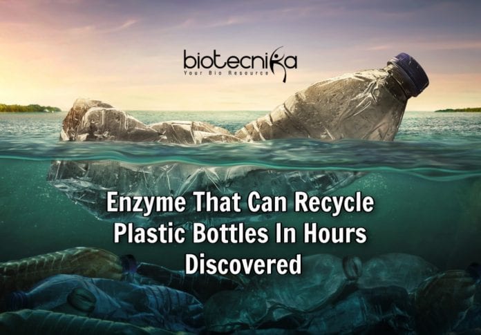 Enzyme to recycle plastic bottles