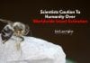 Scientists Caution To Humanity Over Worldwide Insect Extinction Scientists Warn About Insect Extinction