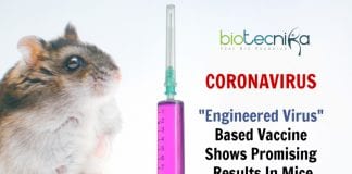 coronavirus vaccine using engineered viruses