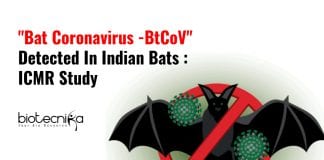 Coronavirus Found In Indian Bats