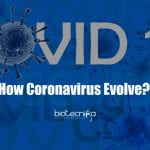 How Coronavirus Evolve? – Scientist Develop New Method To Understand Mechanism how coronavirus evolves